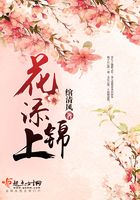 花添锦上