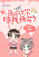 Boss你挡我桃花了