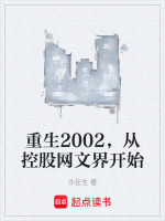 重生2002，从控股网文界开始