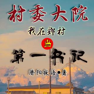 村委大院：我在乡村当第一书记