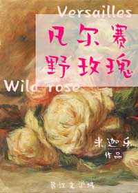 凡尔赛野玫瑰小说全文免费阅读