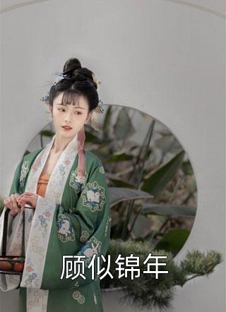 叶晨宁婉清小说免费阅读